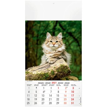 Personalised 2021 Cat Dog Calendar National Pen